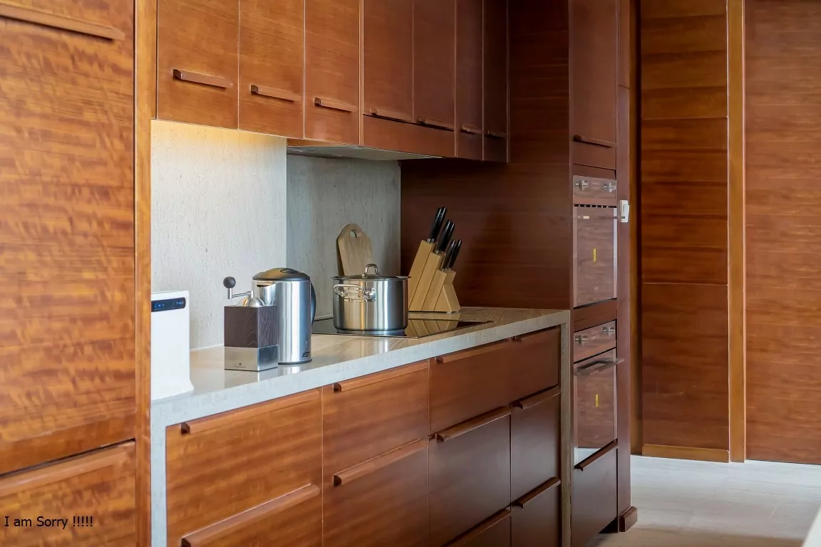 Beachfront Penthouse Hyatt Danang For Sale